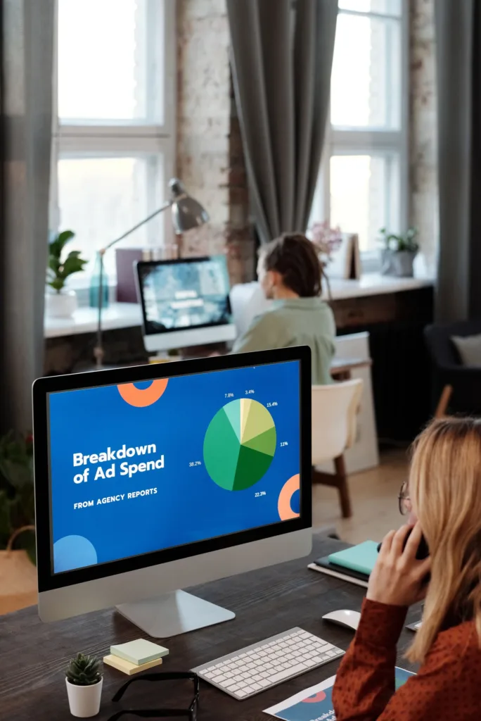 Paid Advertising Case Study — AlphaDecor