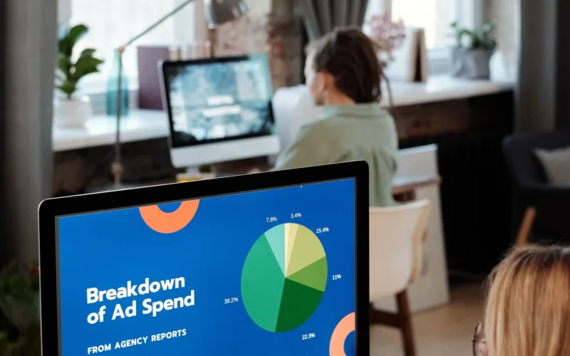 Paid Advertising Case Study — AlphaDecor
